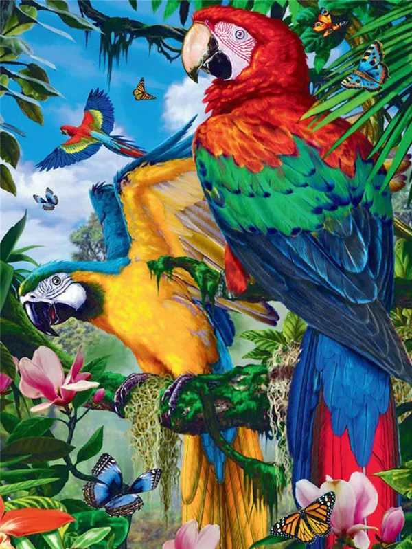Macaw Garden Gathering