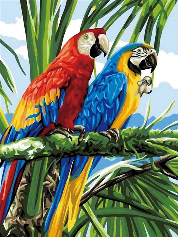 Twin Macaws on Branch