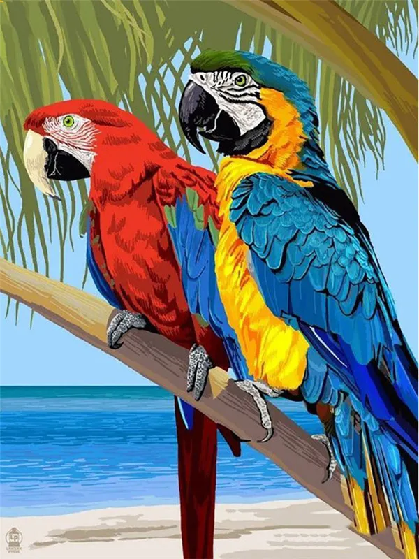 Beach Macaw Pair