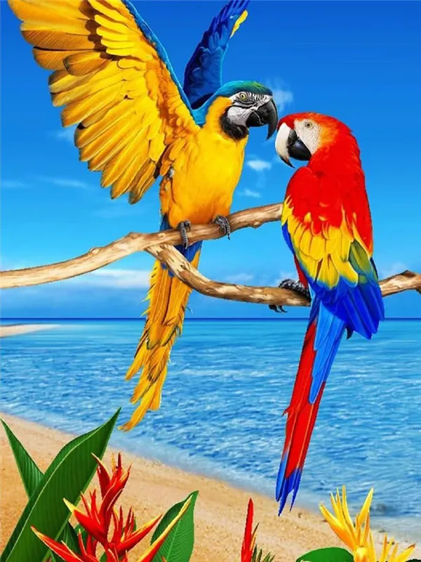 Beach Macaw Duet