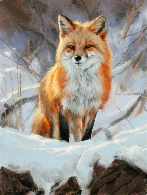 Fox in the Snowdrift