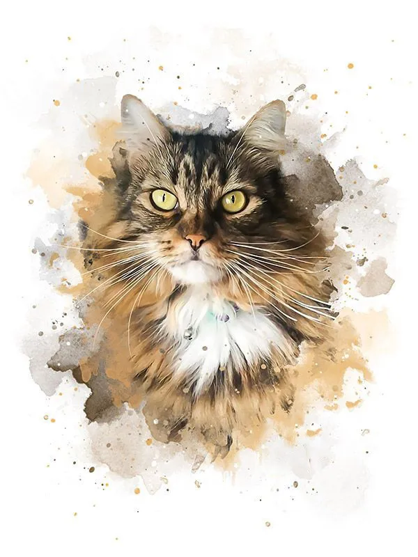Tabby with Collar Tag