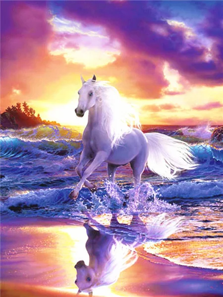 Sunset Beach Stallion