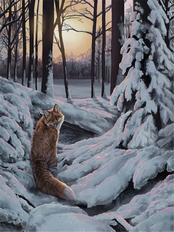 Fox at Sunset in the Snow