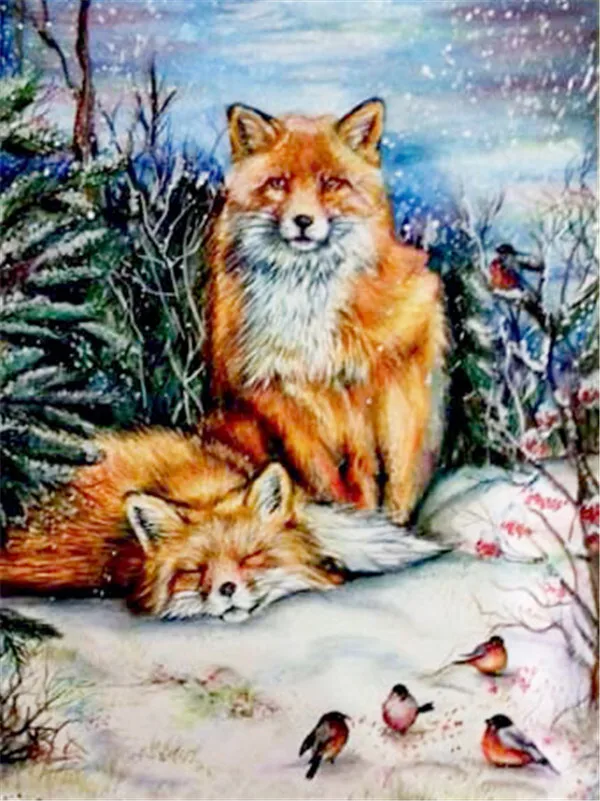 Napping Foxes with Winter Birds