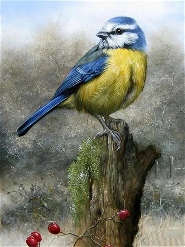 Blue Tit on Stump