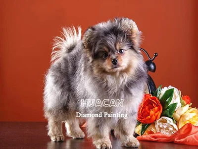 HUACAN Diamond Painting Kit – Puppy Portrait – photo 2
