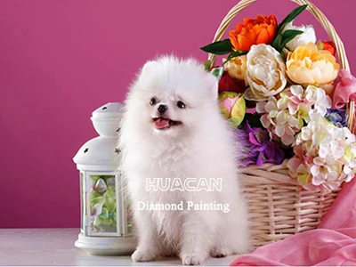 White Puppy with Flower Basket