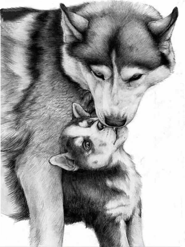 Wolf and Pup