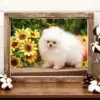 HUACAN Diamond Painting Kit – Puppy Portrait HUACAN Diamond Painting Kit – Puppy Portrait – photo 5