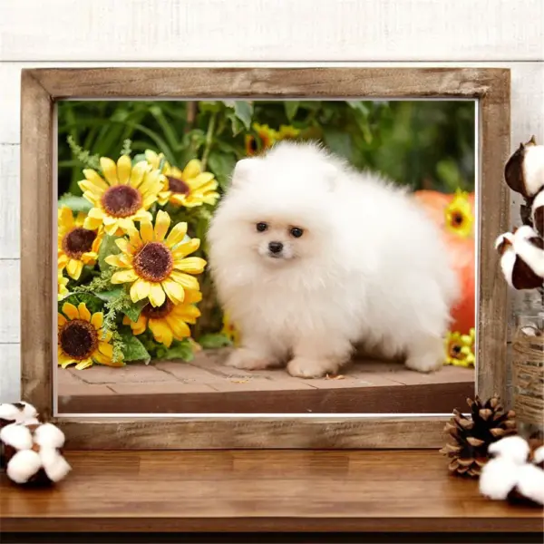 HUACAN Diamond Painting Kit – Puppy Portrait HUACAN Diamond Painting Kit – Puppy Portrait – photo 5