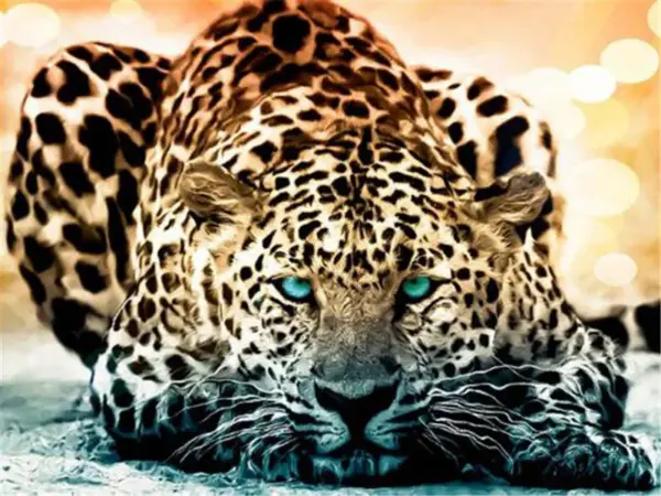 Piercing Blue-Eyed Leopard