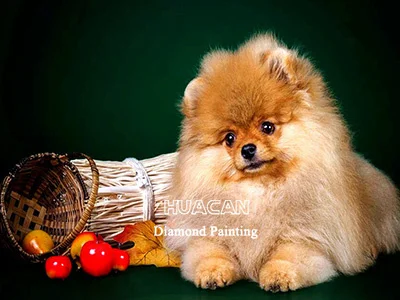 Puppy with Fruit Basket