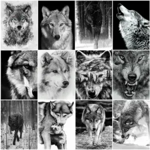 HUACAN Diamond Painting Kit – Monochrome Wolf