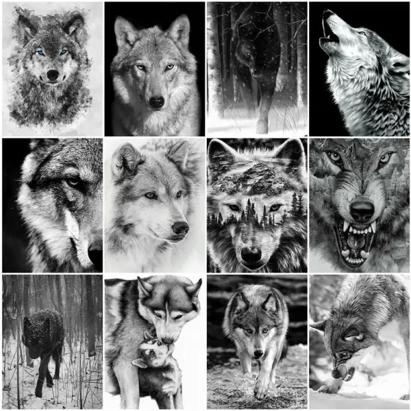 HUACAN Diamond Painting Kit – Monochrome Wolf HUACAN Diamond Painting Kit – Monochrome Wolf