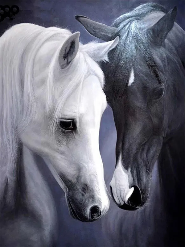 Two Horses Nuzzling