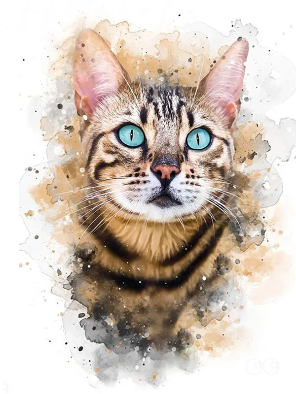 Bengal Cat Gaze