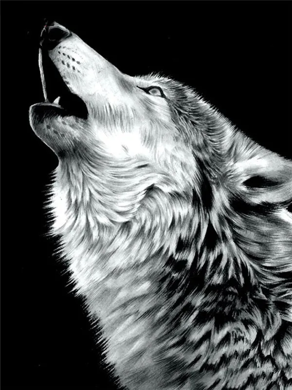 Howling Wolf Silhouette