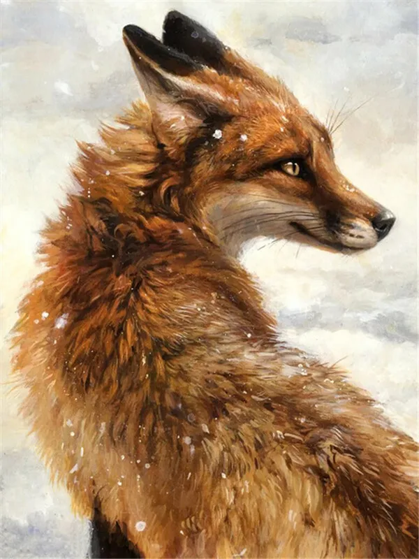 Snow-Dusted Fox Profile