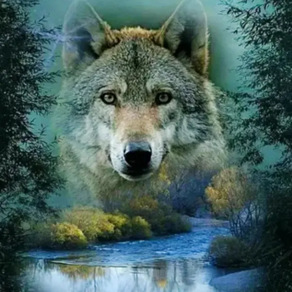 Wolf by the Stream
