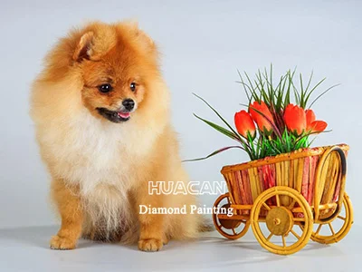 Puppy with Flower Cart