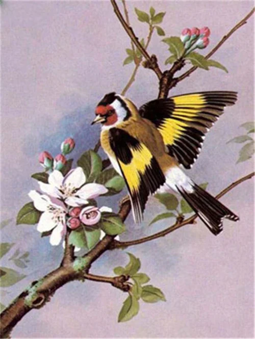 Goldfinch in Flight