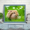 HUACAN Diamond Painting Kit – Bunny Rabbit – photo 4