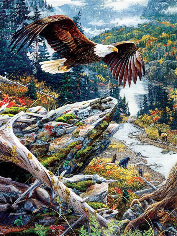 Eagle Over River Valley