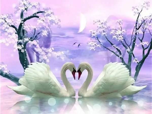 Moonlit Blossom Swans