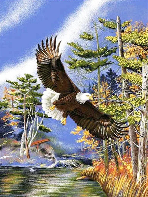 Golden Autumn Lake Flight