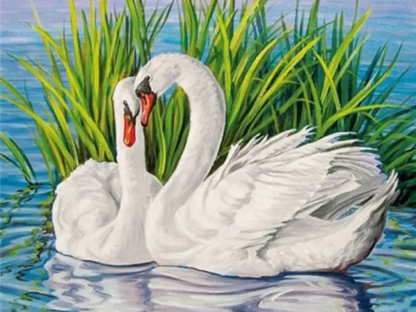 Swans Among the Reeds