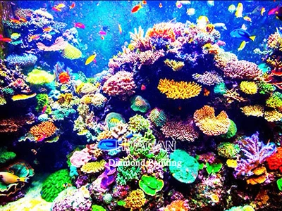 Coral Garden Close-Up