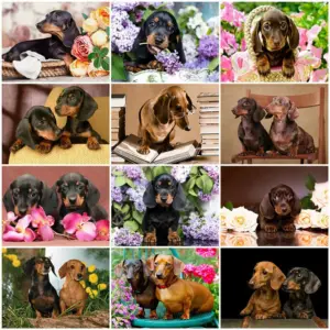 HUACAN Diamond Painting Kit – Dachshund Dog