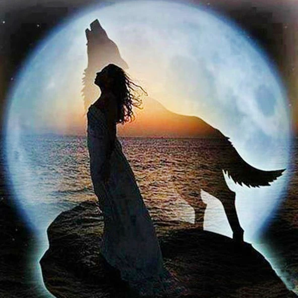 Moonlit Wolf Silhouette