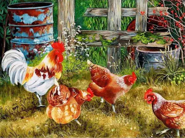 Rooster by Rusty Barrel