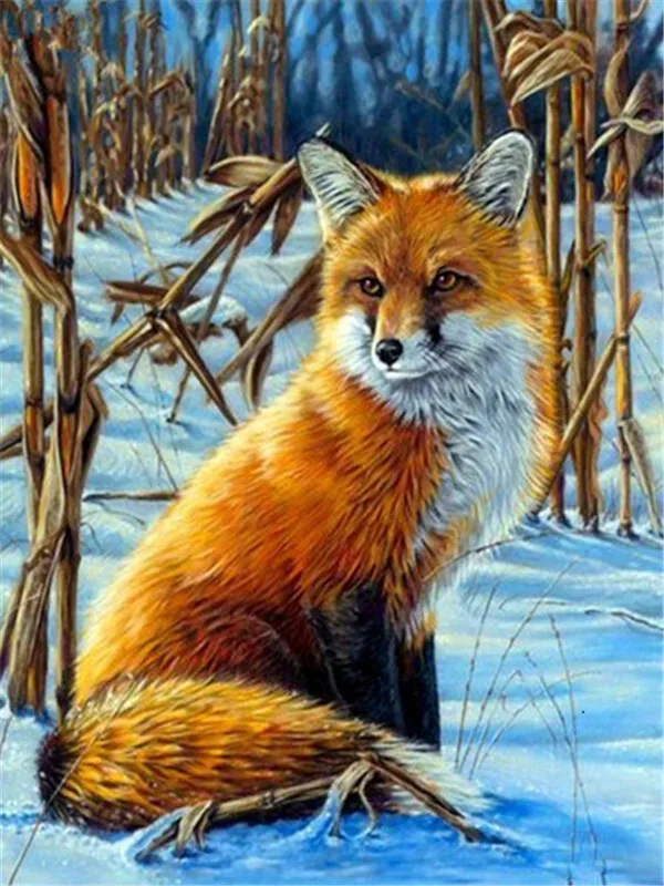 Fox in the Snowy Cornfield