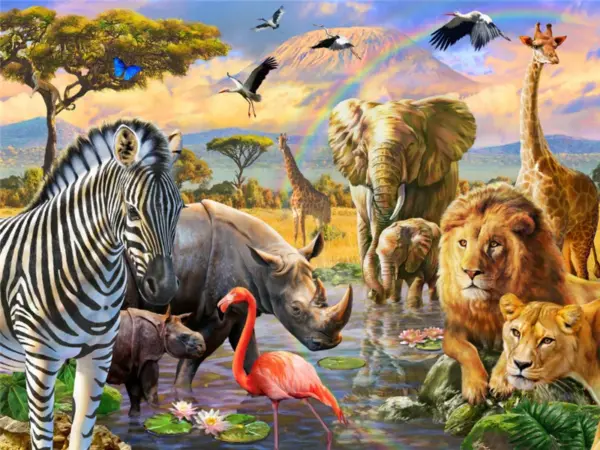 Zebra Rainbow Oasis