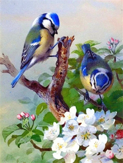 Blue Tits in Blossom