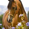 HUACAN Diamond Painting Kit – Autumn Horse – photo 2