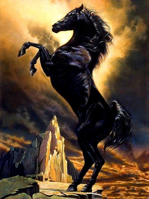 Black Stallion Rearing