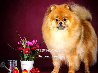 Studio Portrait with Flowers