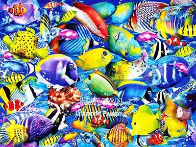 Dense Reef Fish School