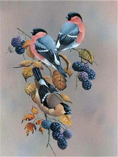 Bullfinches and Blackberries