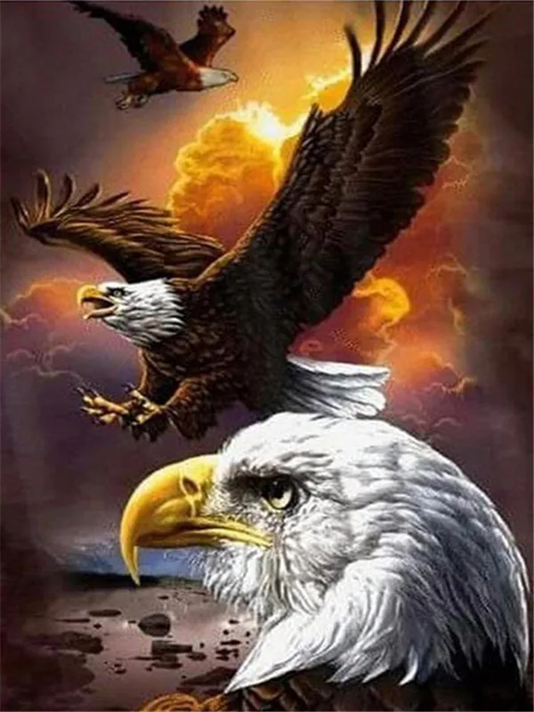 Eagles in Fiery Sky