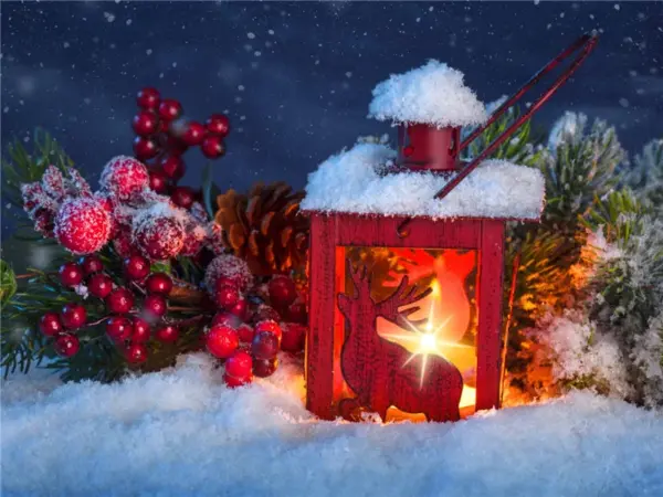 Reindeer Lantern at Night