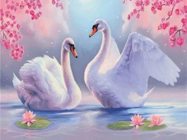 Cherry Blossom Lily Pond