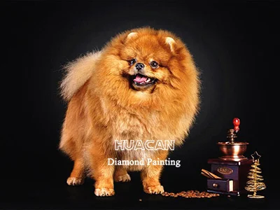 Puppy with Coffee Grinder