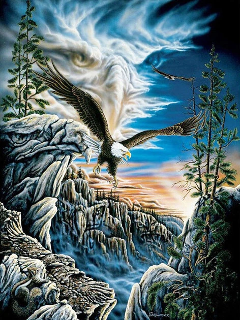 Eagle Over Rocky Cliffs