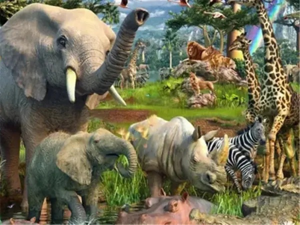 Rainbow Savanna Herd