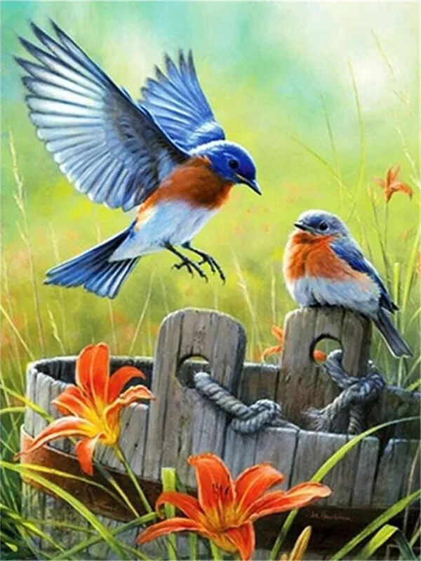 Bluebird in Flight